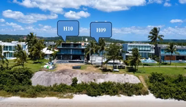 MPF move ação contra empresária por danos ambientais em área de mangue em Marechal Deodoro