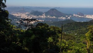 RedeTrilhas recebe prêmio internacional