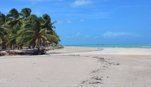 Maragogi: Xaréu, a Praia da Bruna, volta à “ribalta”