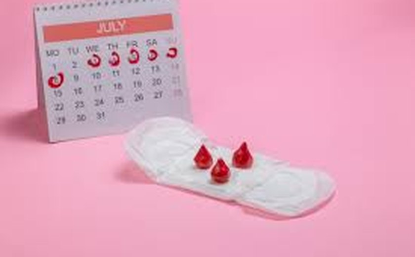 37% de adolescentes que menstruam têm dificuldades de acesso a itens de higiene em escolas e locais públicos