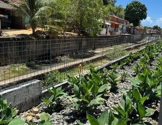 Vice-prefeito e titular da Seminfra destaca importância dos jardins filtrantes para o Renasce Salgadinho