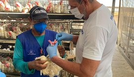 Técnicos da Adeal iniciam inquérito soroepidemiológico das aves