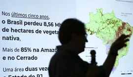 Brasil já perdeu 33% das áreas naturais de seu território