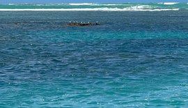 Inscrições abertas para o I Curso de Campo em Ecologia e Sustentabilidade na Costa Nordestina (ECOSTA 2025)