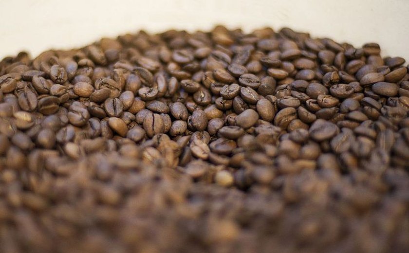 Agricultura debate criação de associação mundial de produtores de café