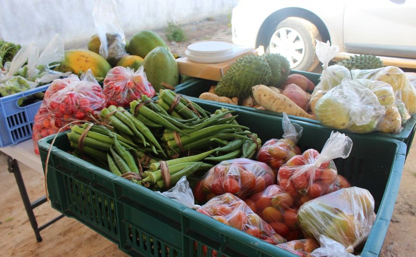 Feira Orgânica da Semarh retorna nesta terça, das 8h às 12h