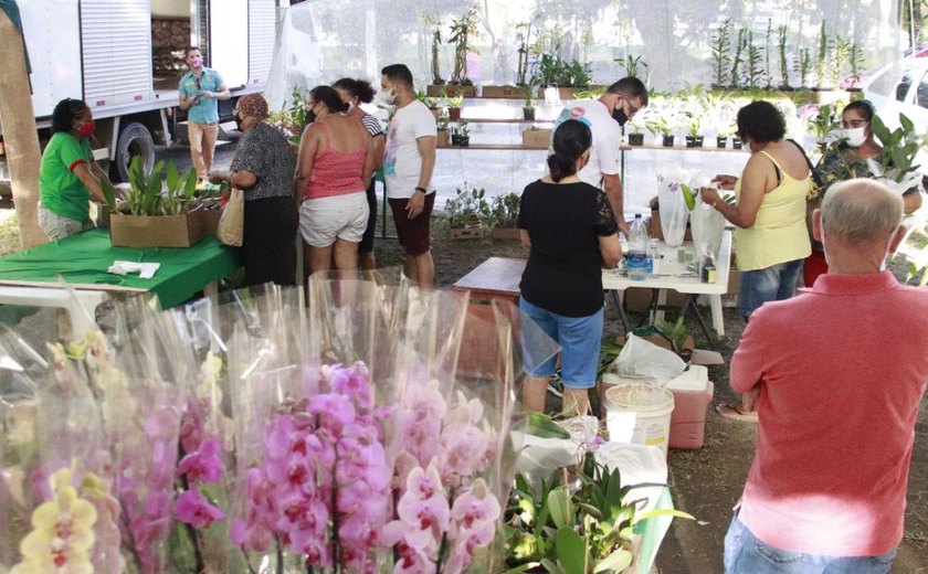 II Edição da Feira de Orquídeas e Bromélias comercializa 10 mil espécies de plantas