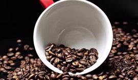 Secretário dos EUA diz que produtos não cultivados no país, como o café, poderiam ter tarifa zerada