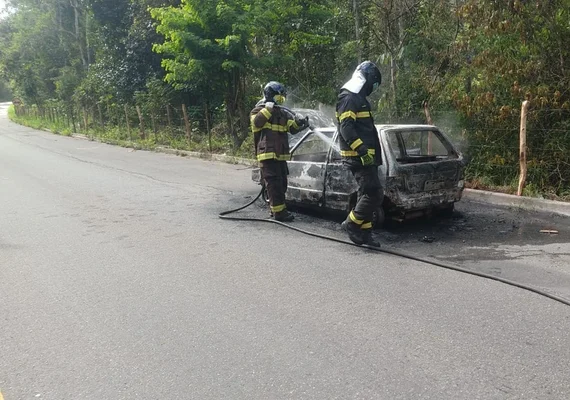 Veículo fica completamente destruído após incendiar na BR-104, em Messias