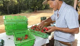 Finep vai pagar R$ 220 milhões para inovações em agricultura familiar