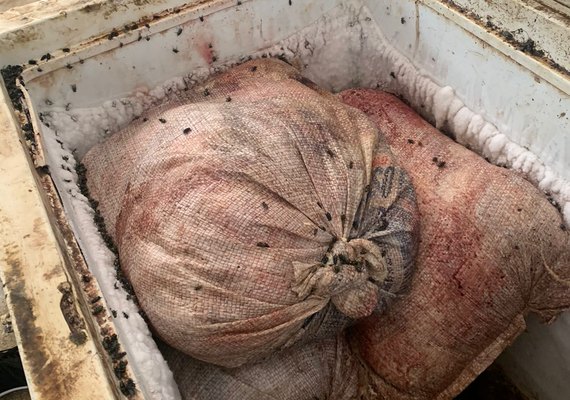 Em ACP da Defensoria Pública, Justiça determina prazo para regularização do matadouro público