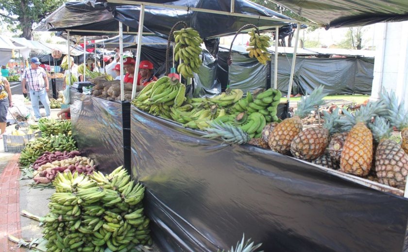 MST comercializa 458 toneladas de alimentos durante feira em Maceió