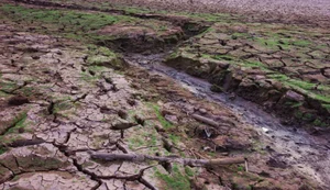 Alagoas cria Comitê de Enfrentamento dos Impactos do El Niño