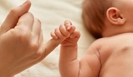 Alagoas registra queda histórica nos nascimentos e alta nos casamentos homoafetivos