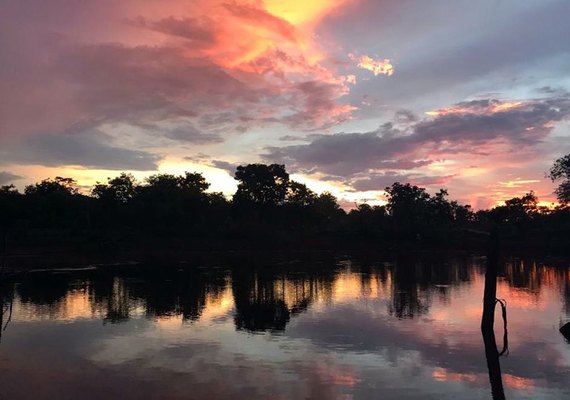 Dia Mundial da Água: Cerrado pode perder quase 34% da água até 2050