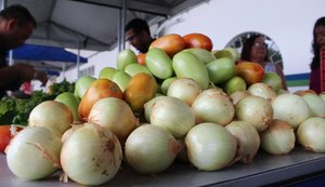 Agricultura familiar: qualidade da merenda é prioridade da gestão municipal