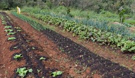 Setor de Agricultura da ONU alerta para aumento da degradação dos solos a nível mundial