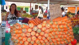 Dia do Feirante: o sustento que vem das frutas, verduras e legumes