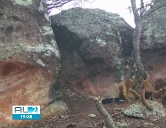 Cepram tem denúncias sobre extração ilegal de areia e ameaça à Serra do Parafuso