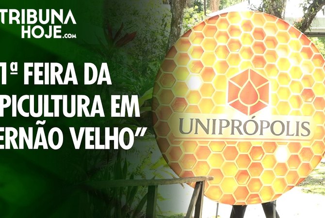 1ª Feira da Apicultura em Fernão Velho reúne produtores, ciência e venda direta