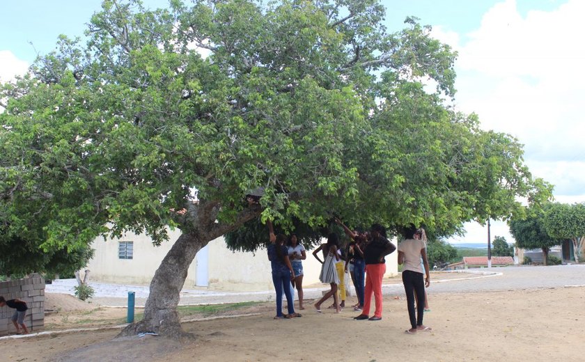 Decreto presidencial destina área para território quilombola em Alagoas