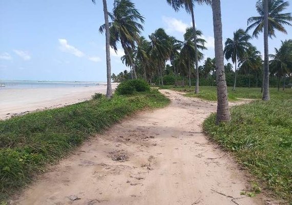 Cerca que fechava acesso à praia de Milagres é derrubada