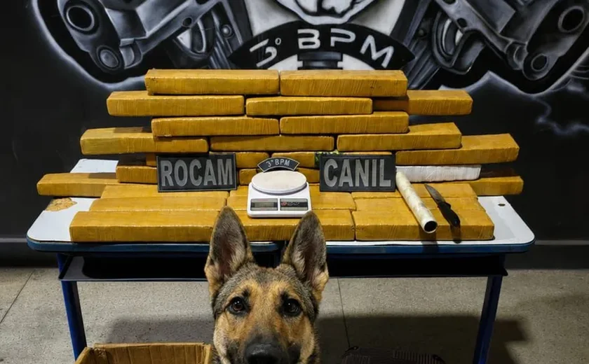 Casal é preso com mais de 25 quilos de maconha durante operação policial em Arapiraca
