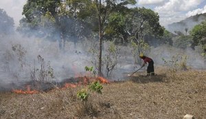 Aumentam registros de focos de incêndios em Alagoas