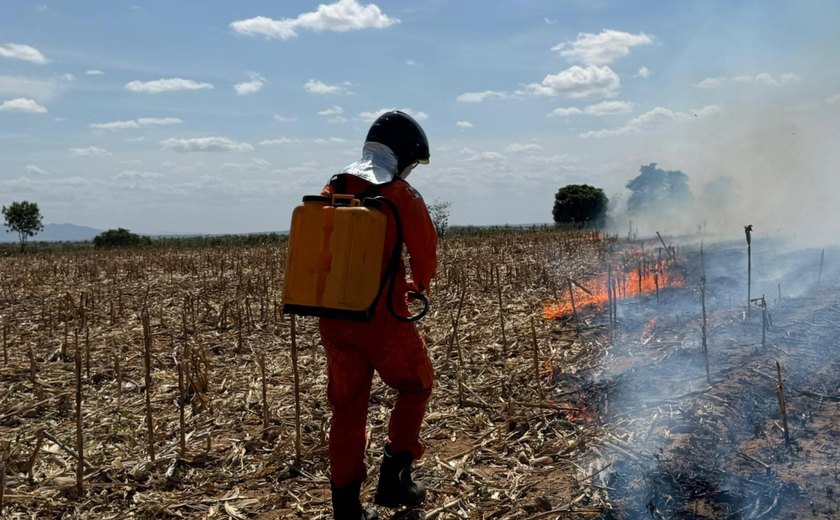 Corpo de Bombeiros registra aumento de 80% nos incêndios em vegetação em Alagoas