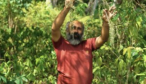 Secretário de Agricultura destaca geração de renda em produção agroecológica localizada em Maceió