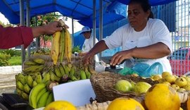 Governo promove 4ª edição da Feira Orgânica nesta terça (7) na Semarh