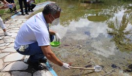 Queda de quase 90% nos casos de dengue deixa Alagoas de fora de 1ª distribuição de vacina