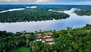BNDES lança edital voltado para recuperação da floresta amazônia