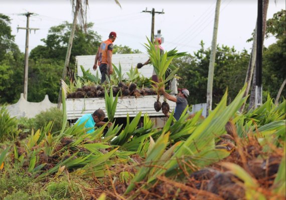 Coopaiba implementa modelo ATER 2.0 e reforça estratégia de qualificação da agricultura familiar