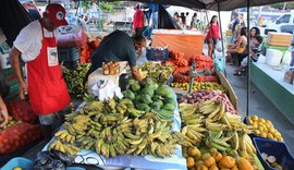 MST inicia Feira da Reforma Agrária no Museu Théo Brandão nesta sexta-feira (25)