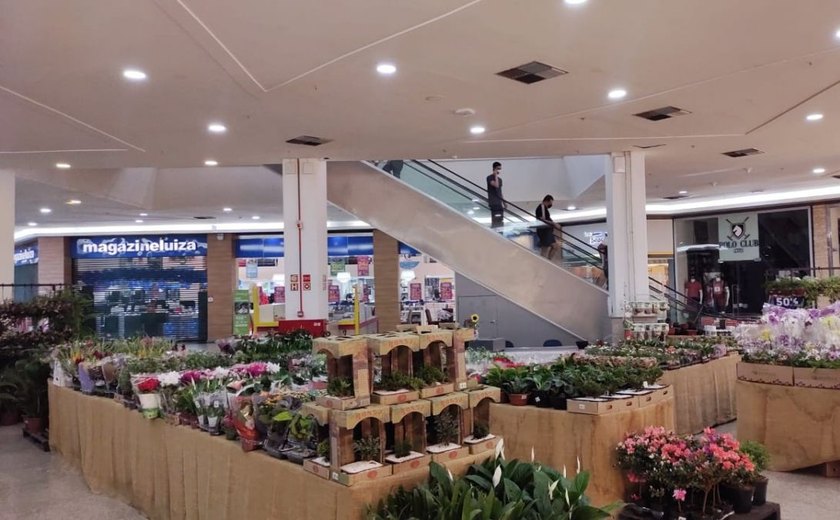 Shopping recebe festival com mais de 200 espécies de flores e plantas ornamentais