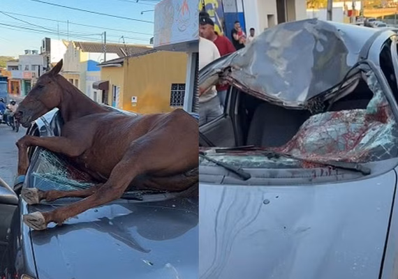 Cavalo desgovernado salta sobre carro e provoca acidente em Santana do Ipanema