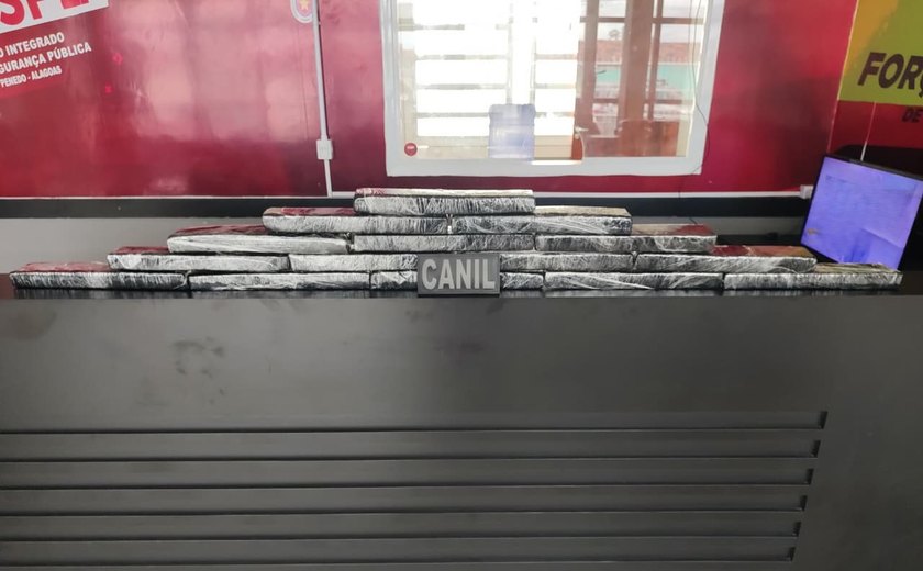 Em ações integradas, PM apreende drogas e centenas de celulares no Agreste