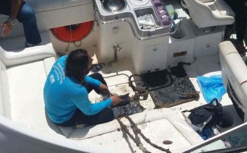 IMA vistoria placas para identificar presença do coral-sol na costa de Alagoas