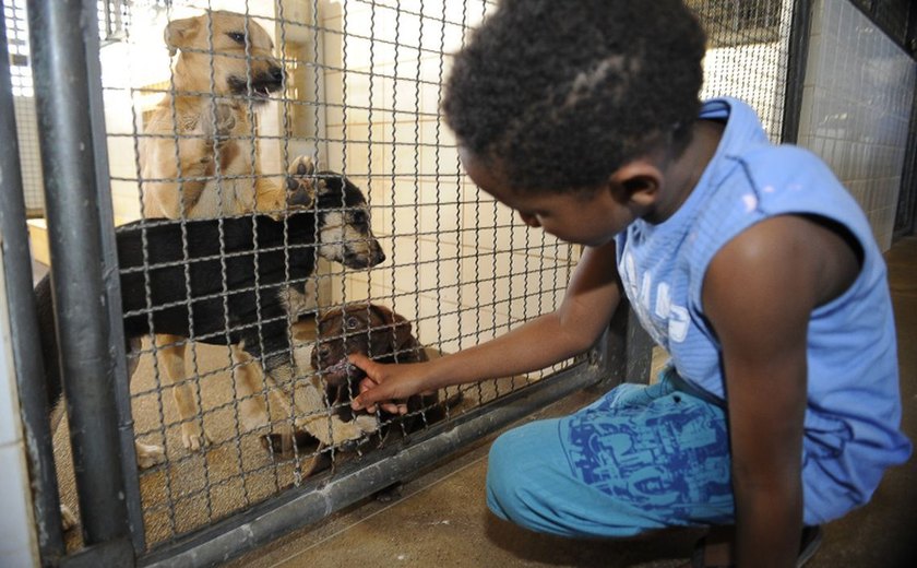 Resolução define e caracteriza o que é crueldade, abuso e maus-tratos contra animais