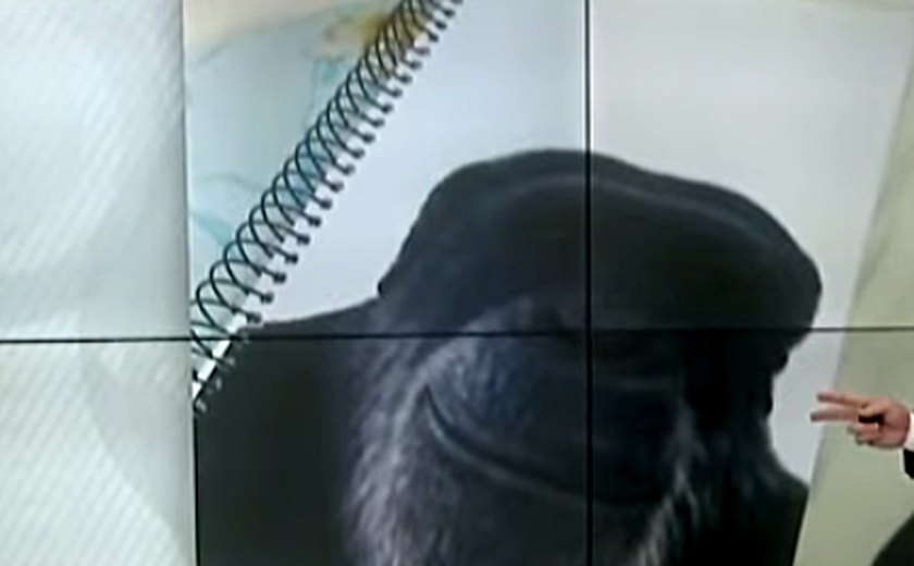 Polícia Civil investiga denúncia de racismo em sala de aula