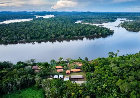 BNDES lança edital voltado para recuperação da floresta amazônia