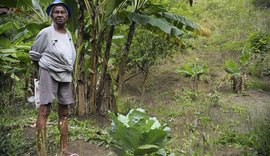 IBGE: campo está mais feminino e mais velho