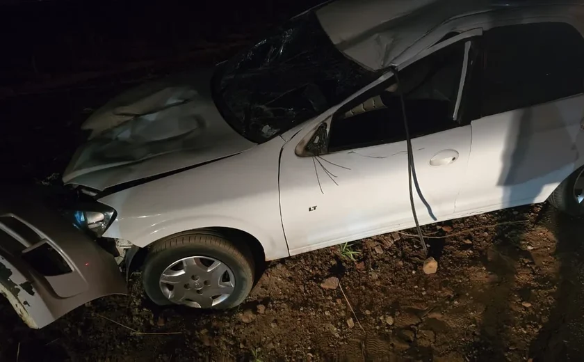 Cavalo solto na estrada provoca acidente na rodovia AL-115; animal morreu