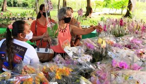 Feira de orquídeas e bromélias deve receber cerca de 3 mil pessoas
