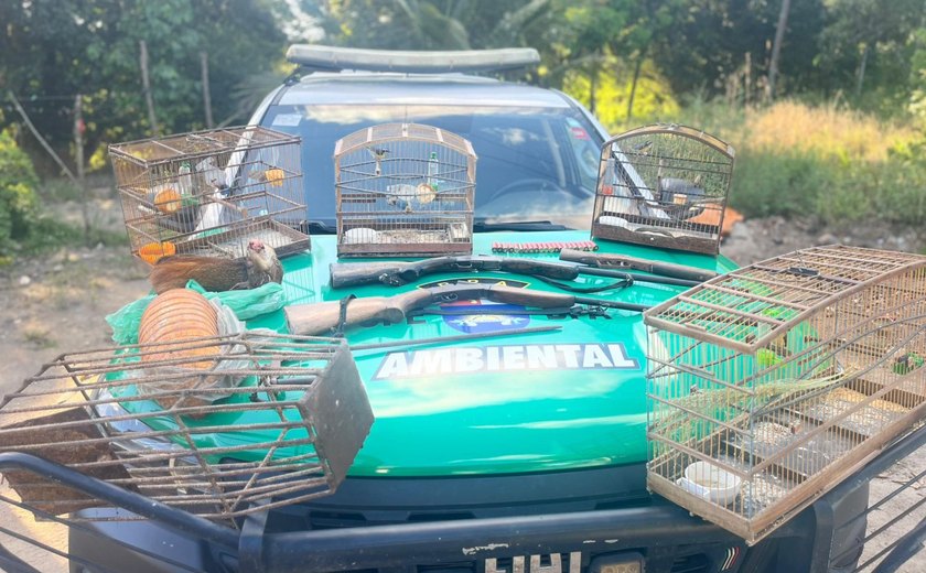 Polícia Militar apreende aves silvestres, armas e armadilhas de caça em Porto de Pedras