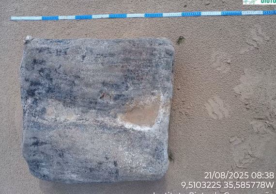 Fardos de borracha de navios nazistas reaparecem em praias de Alagoas após seis anos