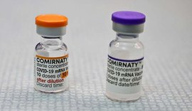 1º lote da vacina da Pfizer para crianças chega a SP para ser distribuído aos estados