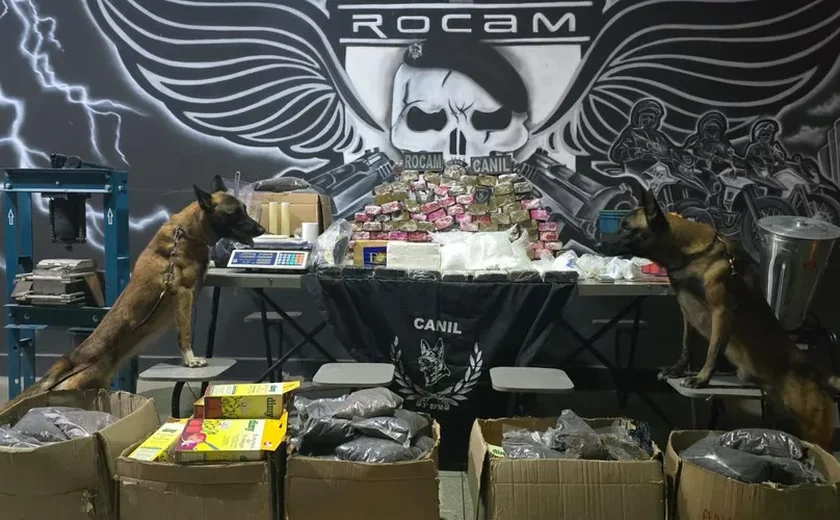 Polícia Militar encontra mais de 50 quilos de drogas em casa abandonada em Arapiraca