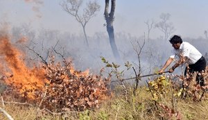 Evo Morales se perde na selva enquanto combatia queimadas na Bolívia